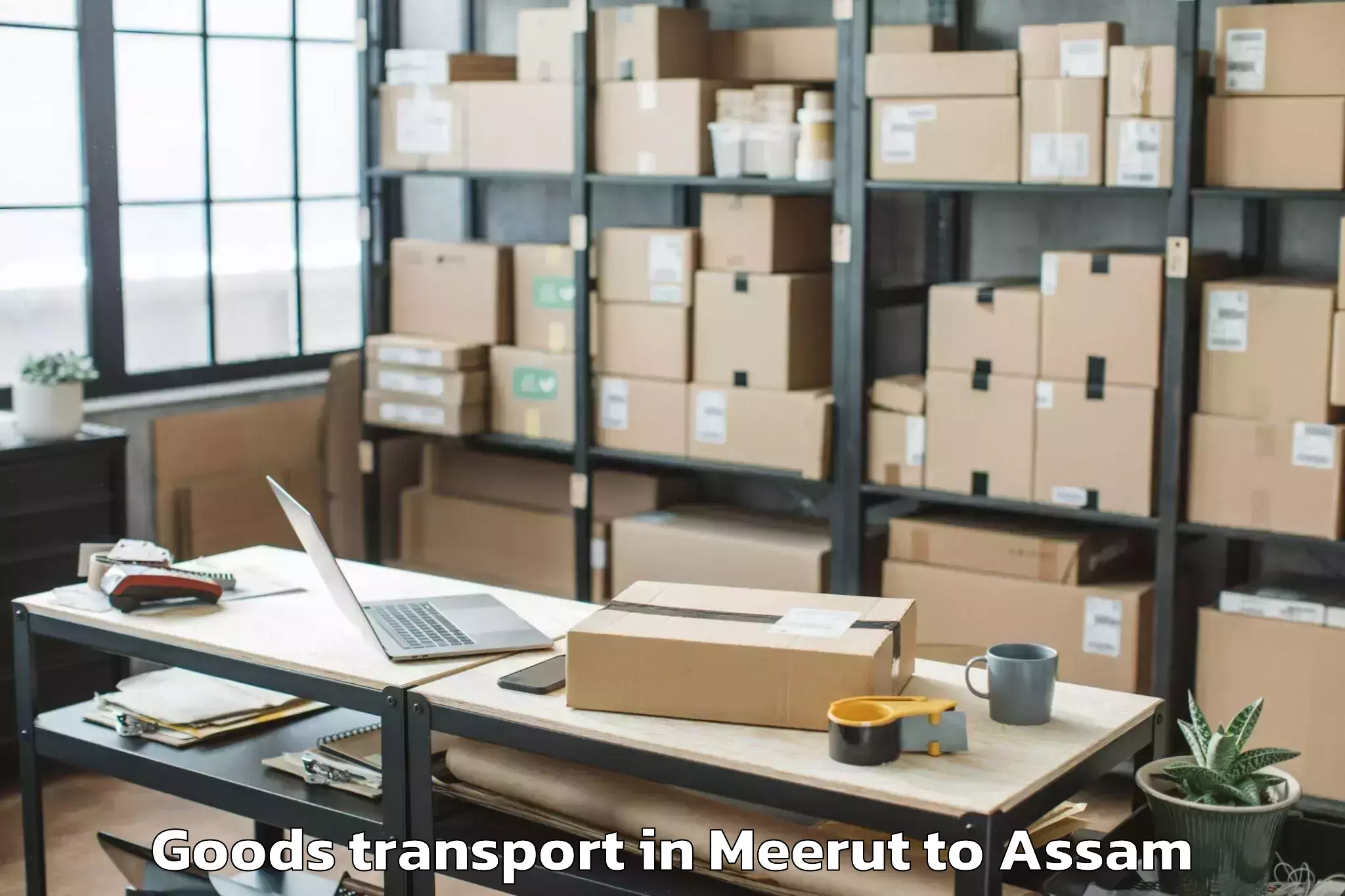 Affordable Meerut to Dibrugarh Goods Transport